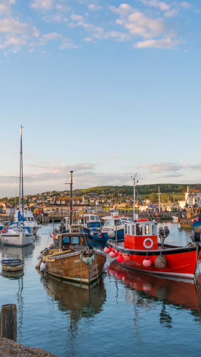 West Bay harbour, Dorset credit Diana Jarvis