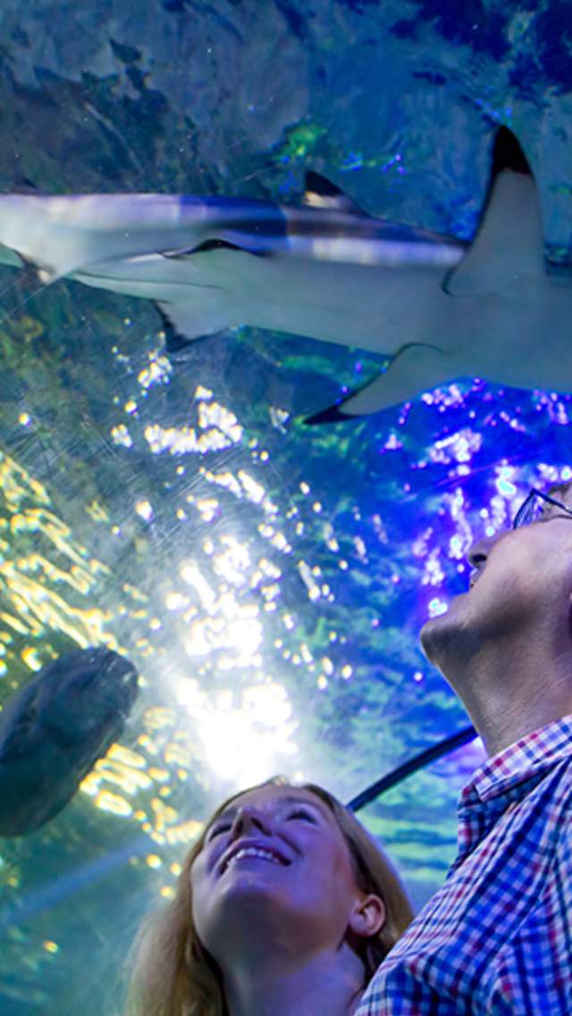 Weymouth Sea Life Adventure Park