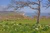 Cliffs overlooking Lyme Bay