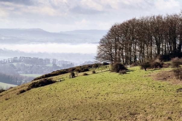 Fontmell Down, Dorset