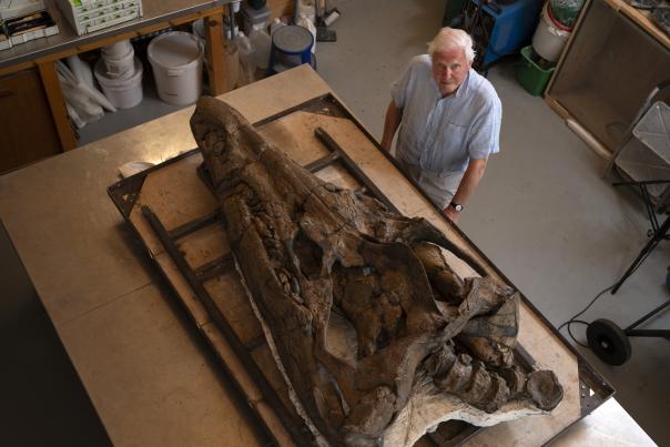 Sir David Attenborough and a Pliosaur skull at The Etches Collection in Kimmeridge Dorset © BBC