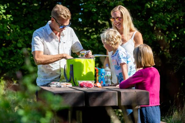 Enjoying a picnic at Purbeck Park, Dorset