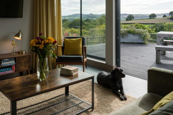 A black labrador dog lying on a rug in a holiday cottage near a patio door with outside decking