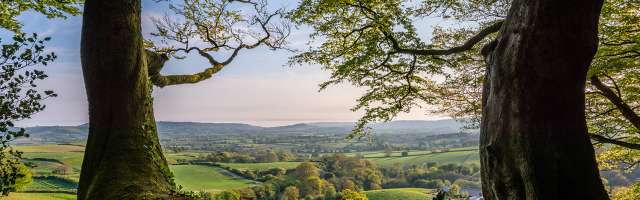 View from Lewesdon Hill, Dorset credit James Loveridge Photography