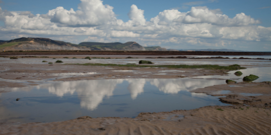 Beach at East Cliff