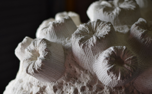 A close up of the sculpture Reef Dwellers by Ben Russell
