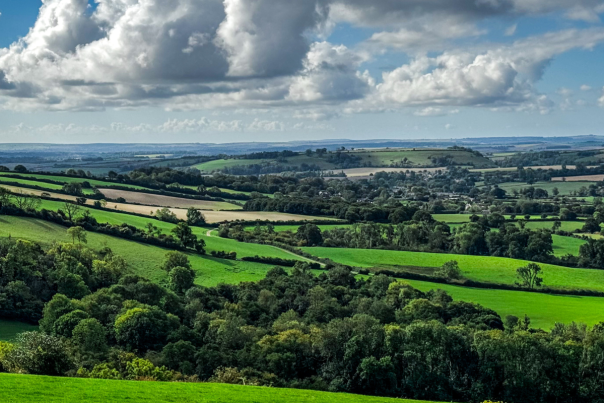Blog - View from Bulbarrow Hill