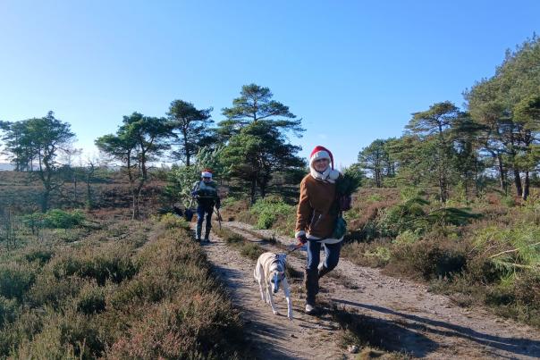 A woman in a Santa hat walks a dog along a dirt path through a heathland landscape with pine trees under a clear blue sky.