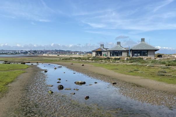 A muddy tidal flat with a shallow stream of water leads toward a row of small wooden buildings under a bright blue sky.