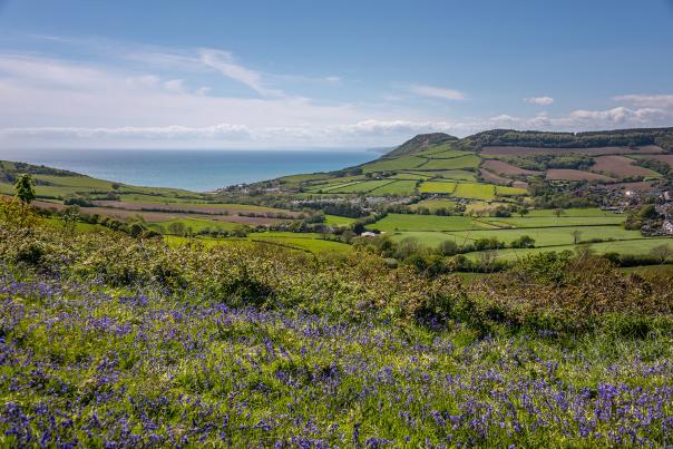 Eype Down, Dorset credit James Loveridge Photography