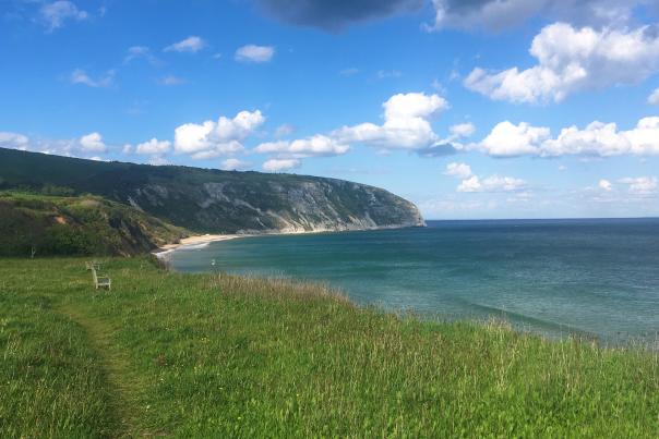 Swanage Coast path views to Ballard Down