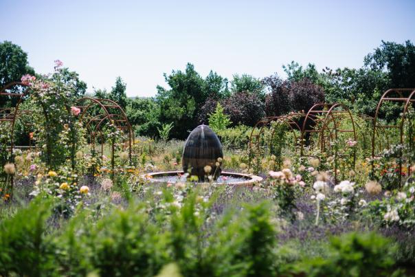 Carey's Secret Gardens