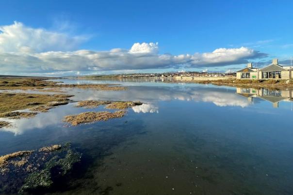 Wild Chesil Centre