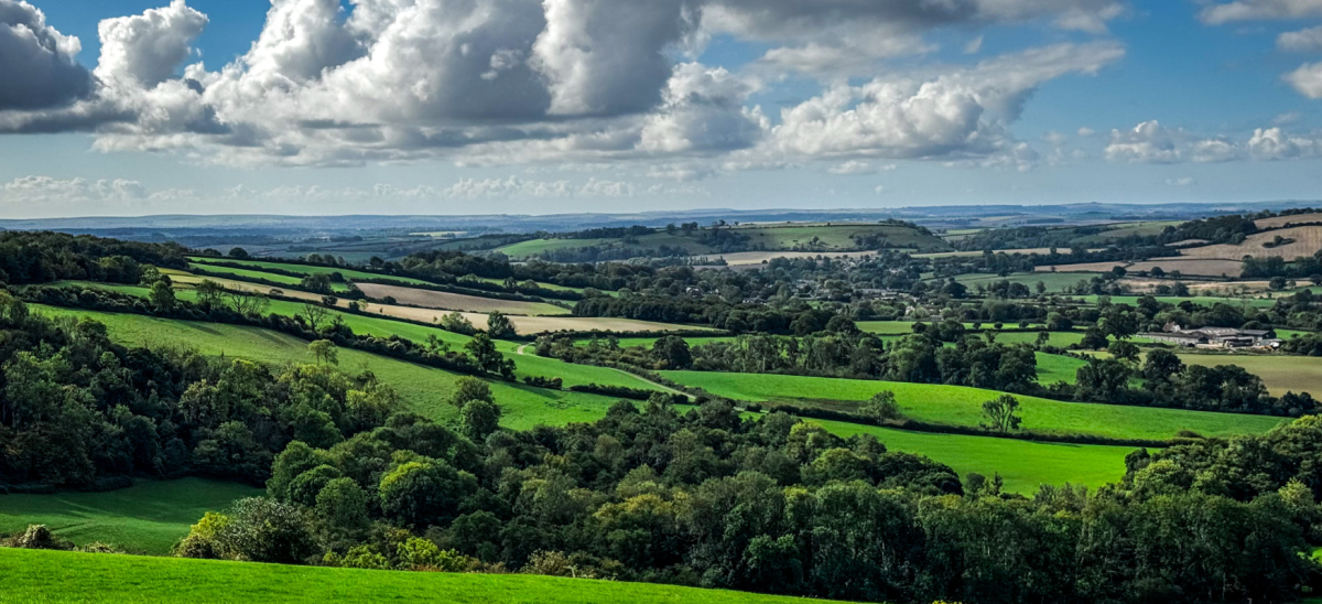 View from Bulbarrow Hill