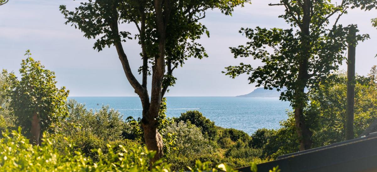 The view of the Isle of Portland through the trees and across the sea from Osmington Mills Lodge Park in Dorset