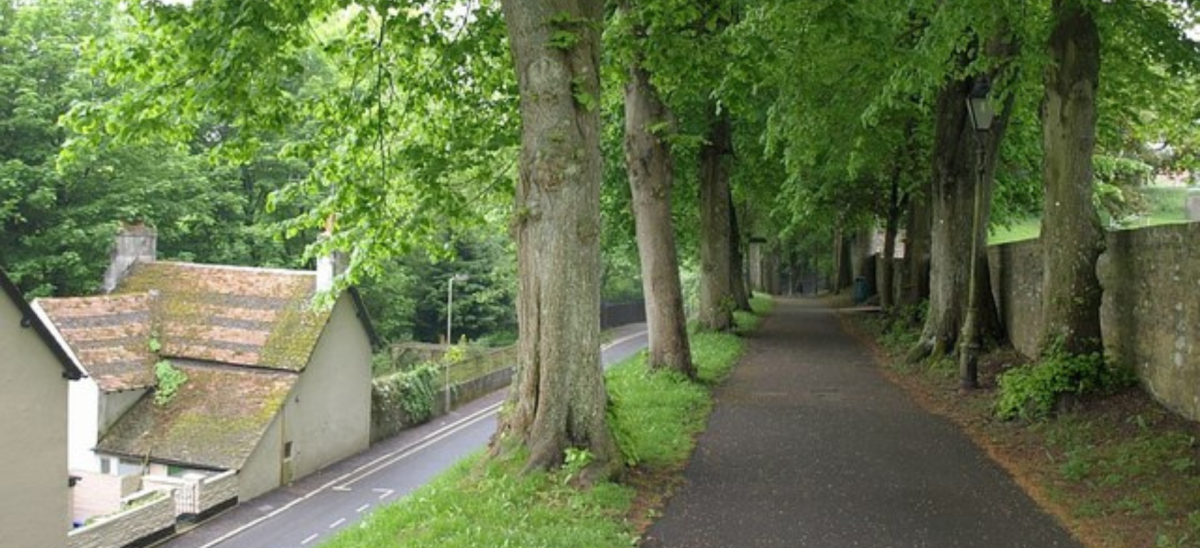 The Walks, Dorchester