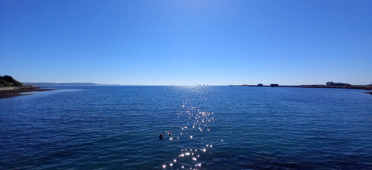Swimmers at Newton's Cove