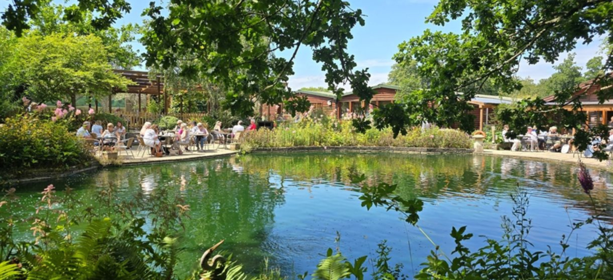Tables around the pond at Orchard Cafe, Holme For Gardens, Wareham, Dorset in the summer. A pretty scene.