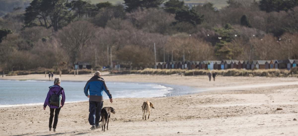 Two people walking two dogs along the sandy beach at Studland in Dorset during winter
