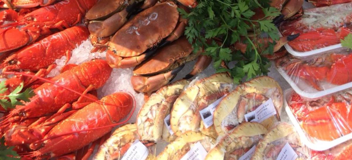 Swanage Fish Festival in Dorset
