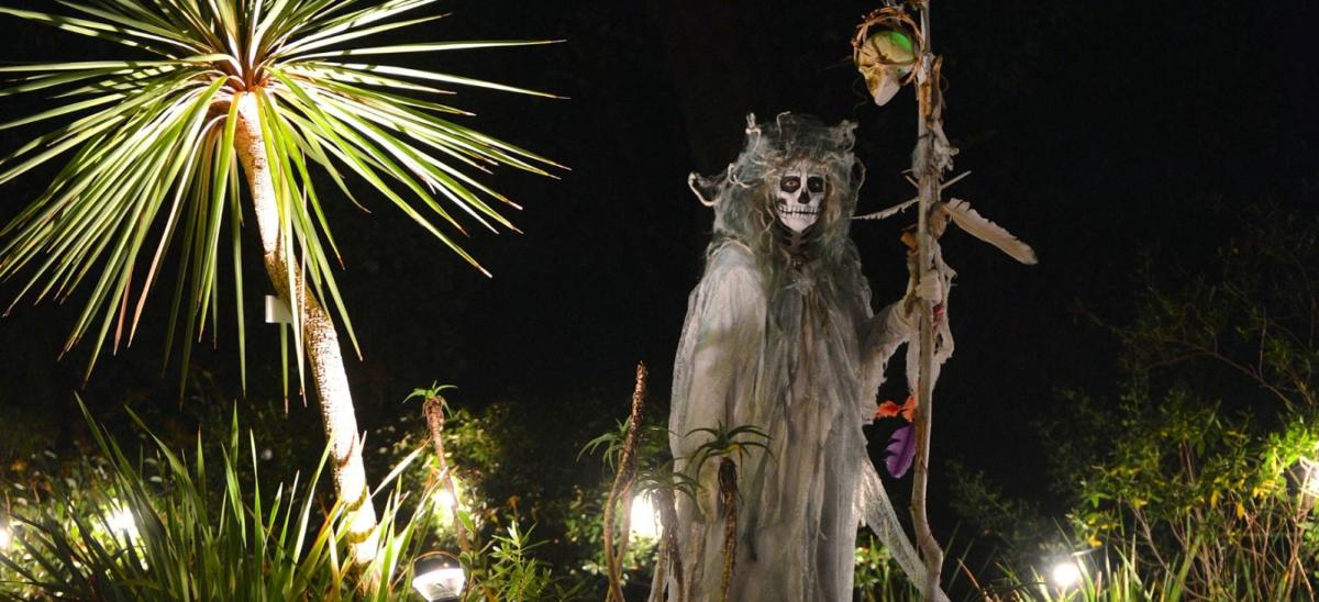 Halloween at Abbotsbury Subtropical Gardens