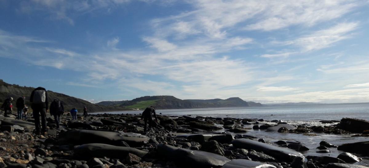 People fossil hunting on the Dorset coast