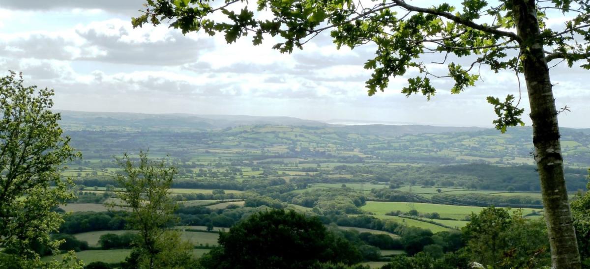 View over the rolling hills of Dorset from Lamberts Castle