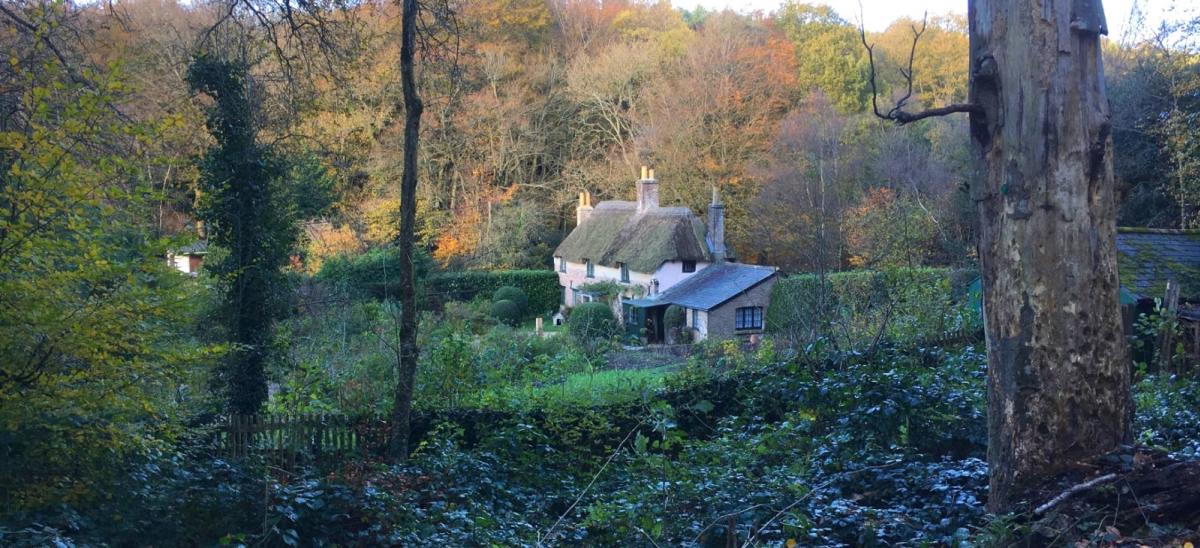 Autumn at National Trust's Hardy's Cottage near Dorchester, Dorset