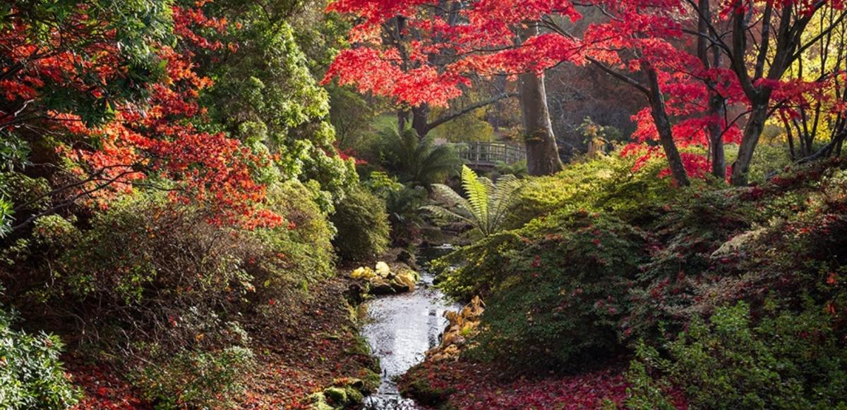 Exbury Gardens in autumn