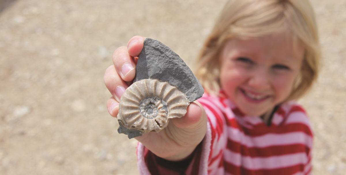 A child holding a fossil on the Jurassic Coast in Dorset