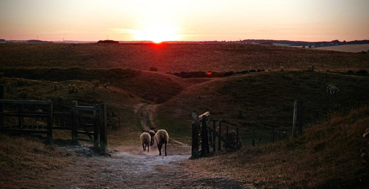 Maiden Castle at sunset