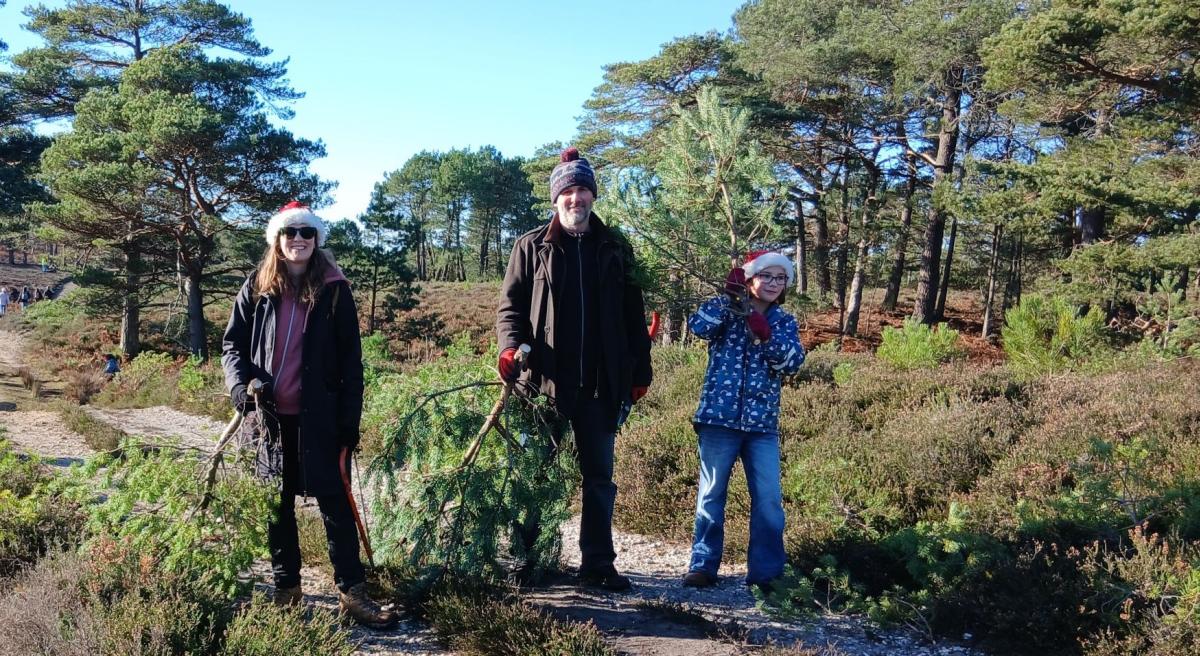 Three people wearing winter hats and holding pine branches stand in a brushy clearing surrounded by a dense pine forest under a clear blue sky.