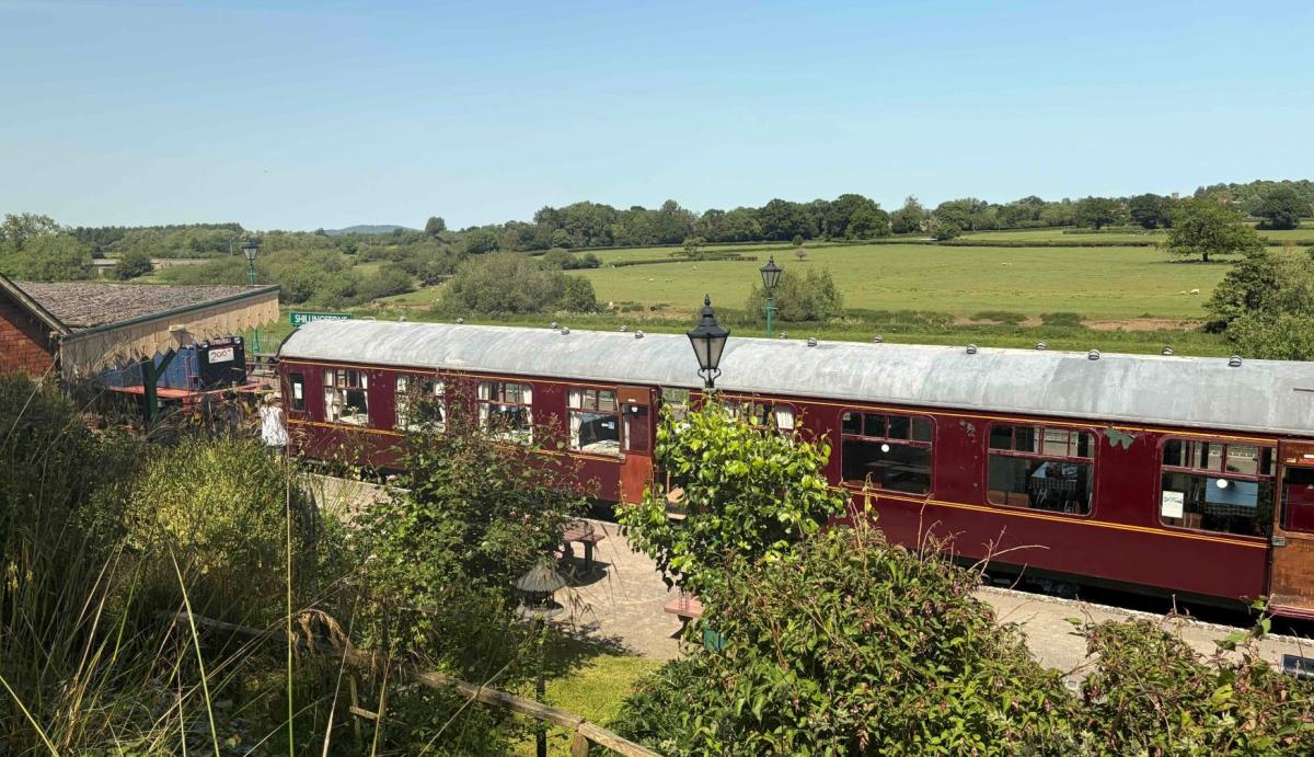 A vintage train with red carriages sits at a station with a thatched roof, surrounded by lush green trees and fields under a clear blue sky.