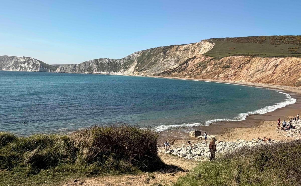 Grassy foreground leads to a sandy beach with people, a calm blue bay, and dramatic chalk cliffs under a clear sky.