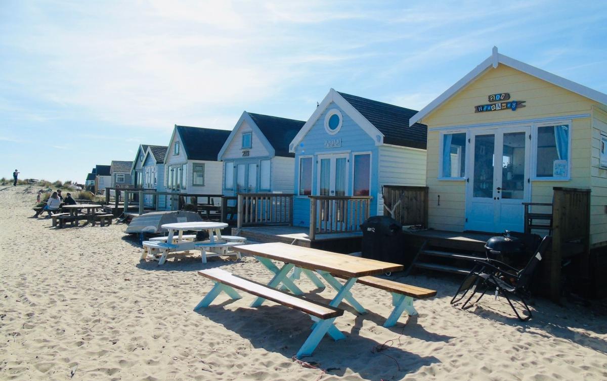 Colorful beach huts line a sandy shore with picnic tables and grills in the foreground, under a clear blue sky.