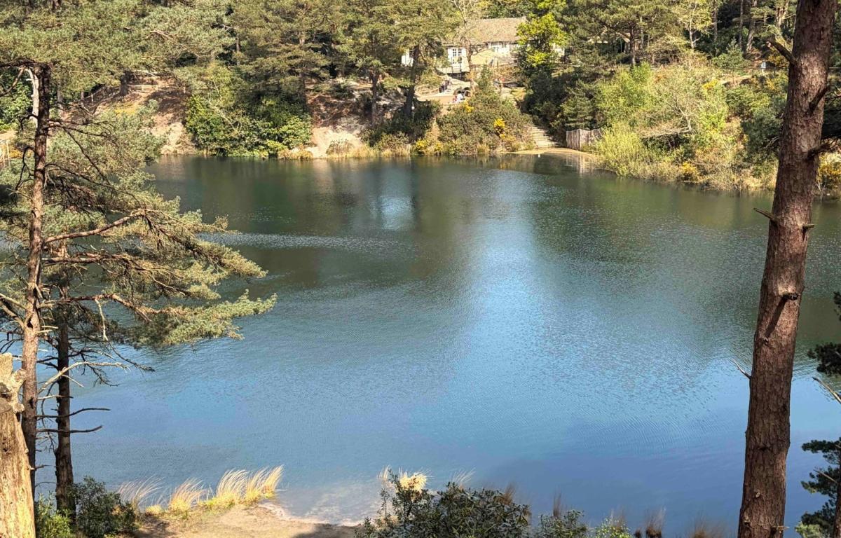 Pine trees frame a tranquil blue lake, with a building nestled amongst greenery on the distant shore.