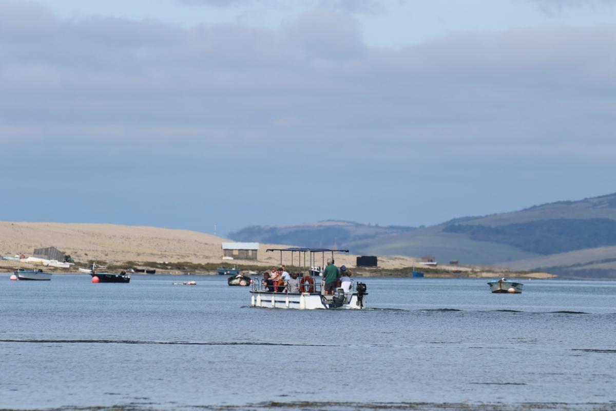 A white tour boat carrying several passengers cruises through calm blue water with sandy shores and rolling green hills in the background.