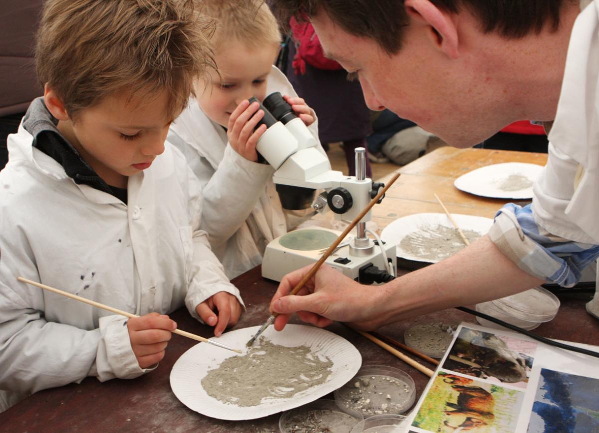 Lyme Regis Fossil Festival