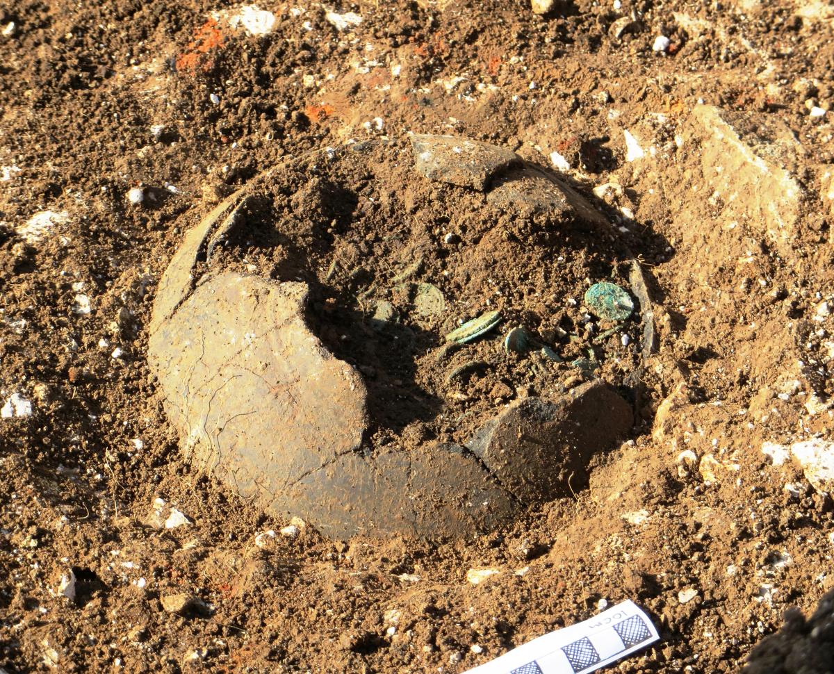 Piddletrenthide Hoard